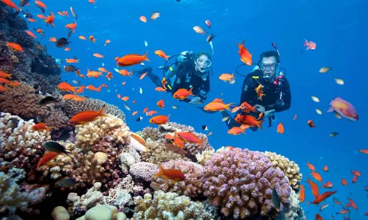 hurghada time tours diving 2