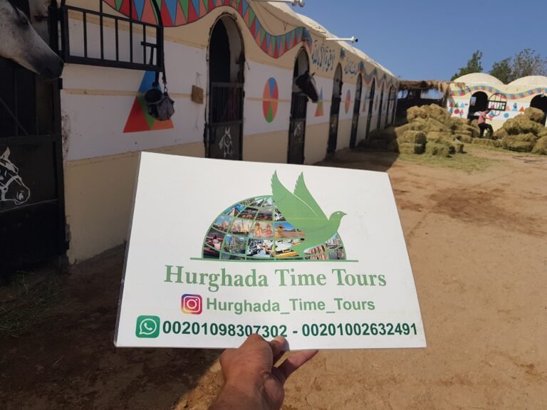 hurghada time tours pic 26