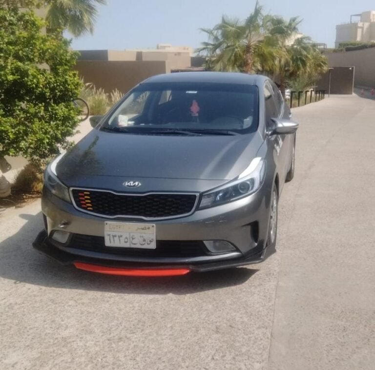 taxi aswan to marsa alam